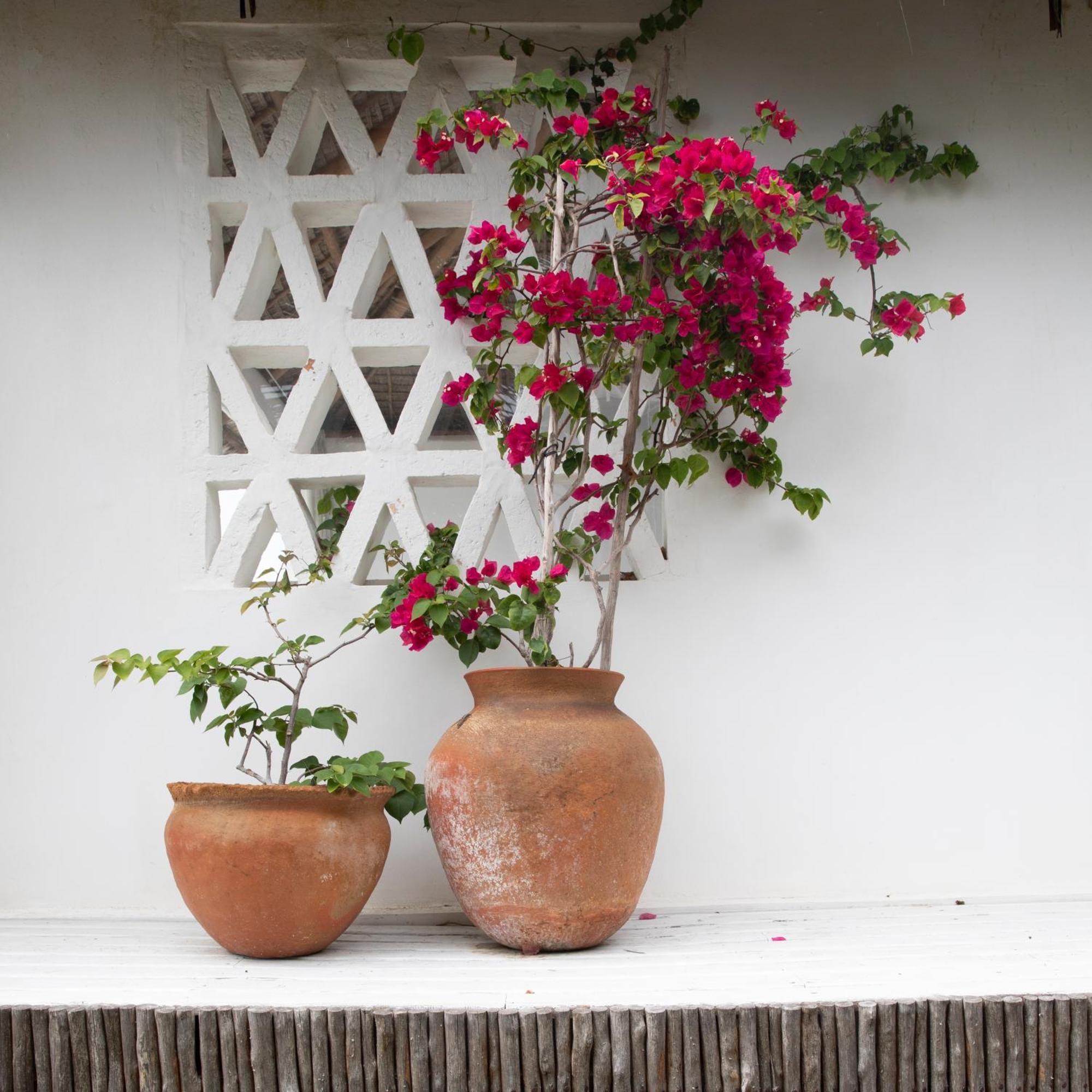 Mar-Me-Quer, Eco Beach Retreat อินฮัมเบอนี ภายนอก รูปภาพ